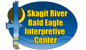 2017 SRBEAT LOGO