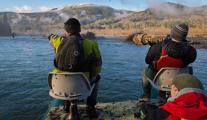 Nooksack River Eagle Tours